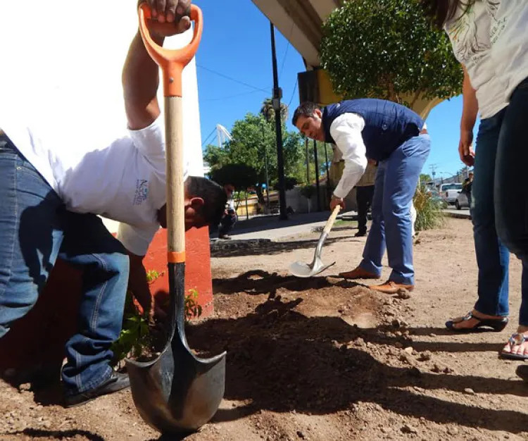 Dona organización ambientalista plantas  al Ayuntamiento