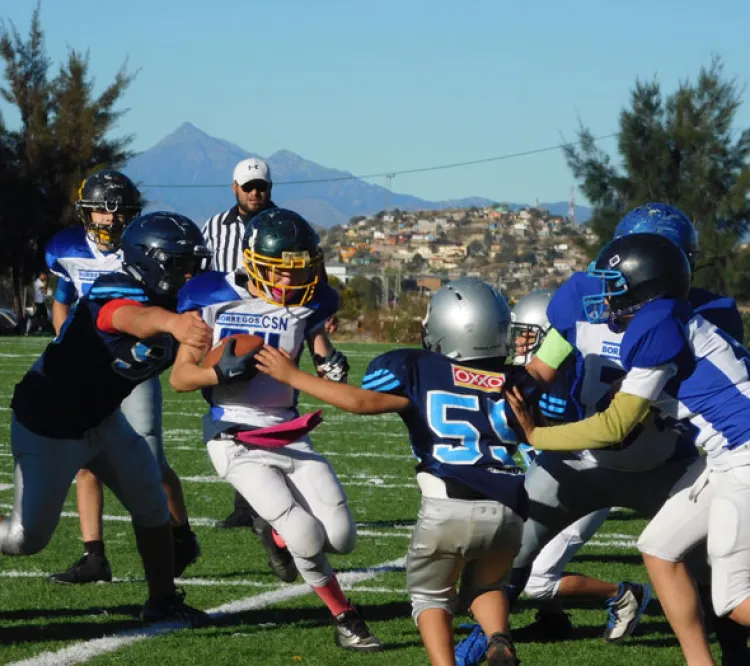 Hunde Itesm a las Águilas