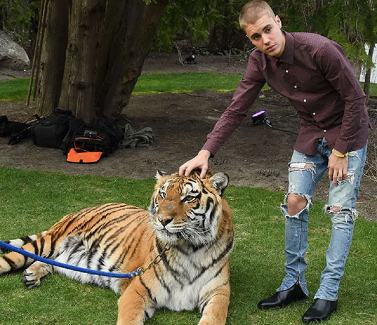 Justin Bieber desencadena la furia de PETA