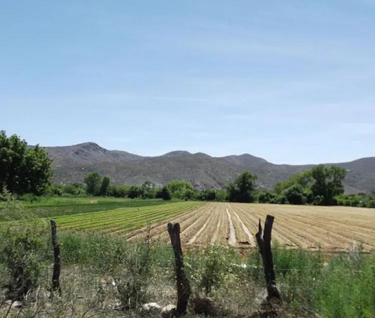 Aumentan solicitudes  de apoyos para el campo