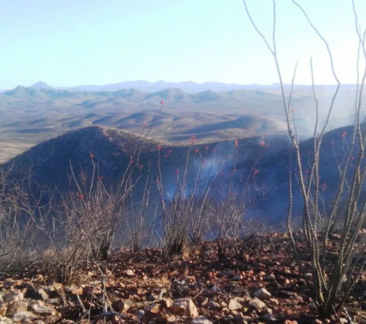 Arden más de 300 hectáreas en Naco