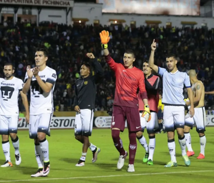 Pumas escapan vivos