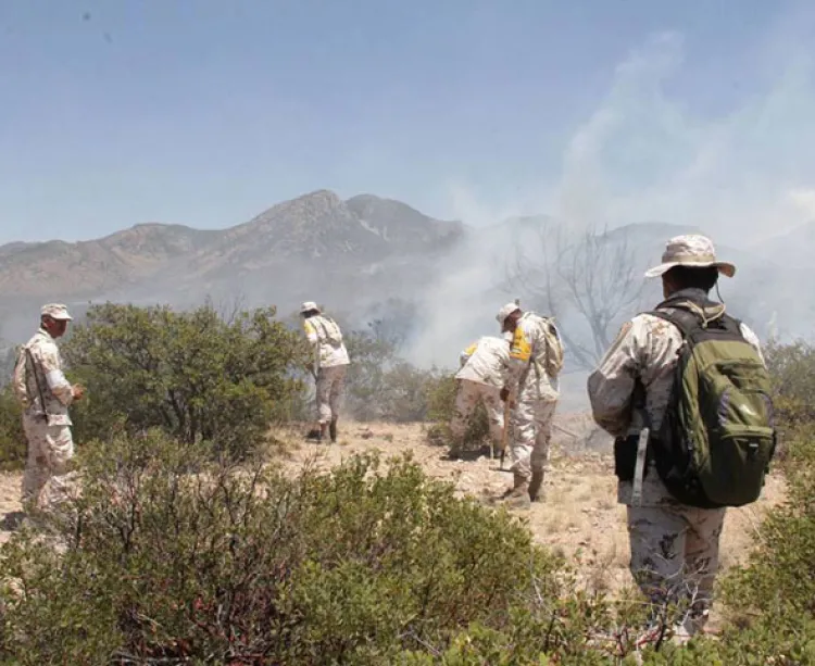 Combaten Incendio en el Puerto de San Luis