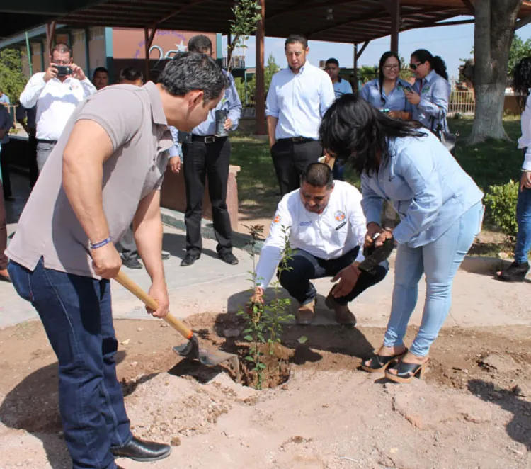 Siembran árboles en Conalep de AP, son cien