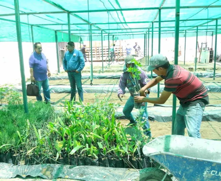 Tiene Agua Prieta  nuevo vivero con  el apoyo de Cedes