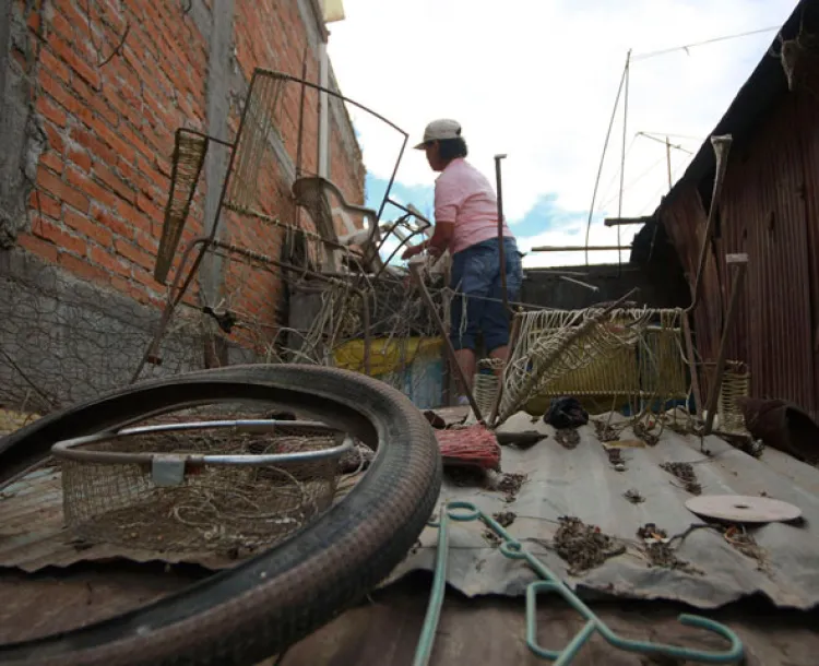 Disminuye número de afectados por el dengue en Sonora