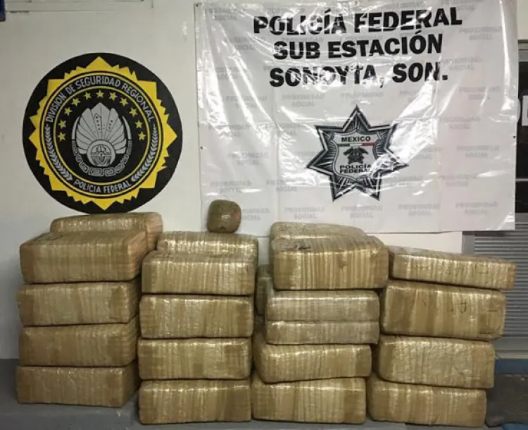 Asegura PF más de 300 kg de marihuana