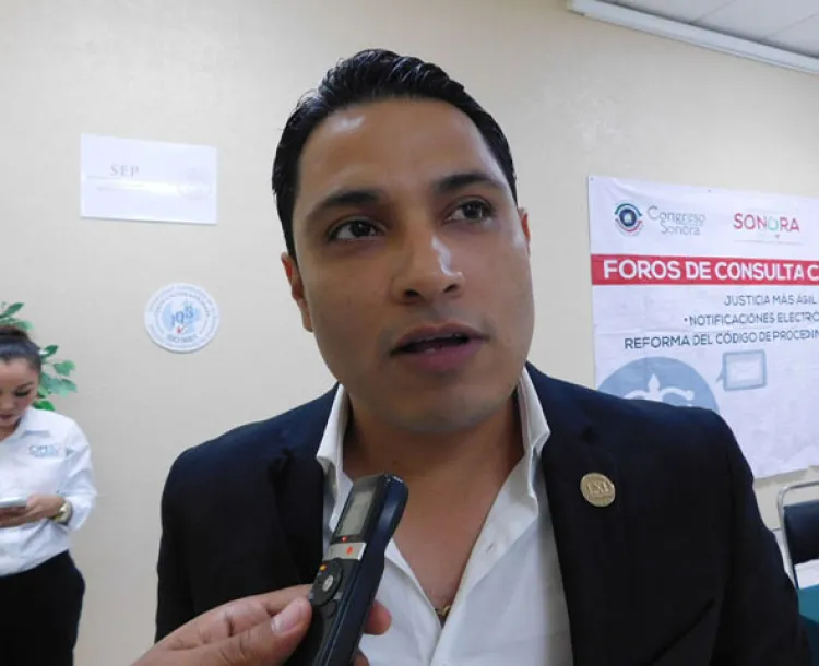 Busca diputado incorporar  notificación electrónica