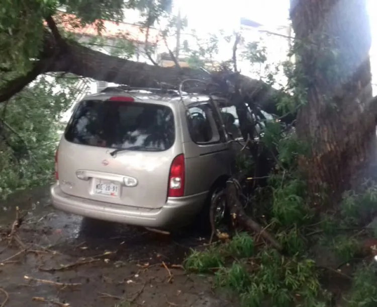 Implementan autoridades acciones  inmediatas ante fuertes lluvias