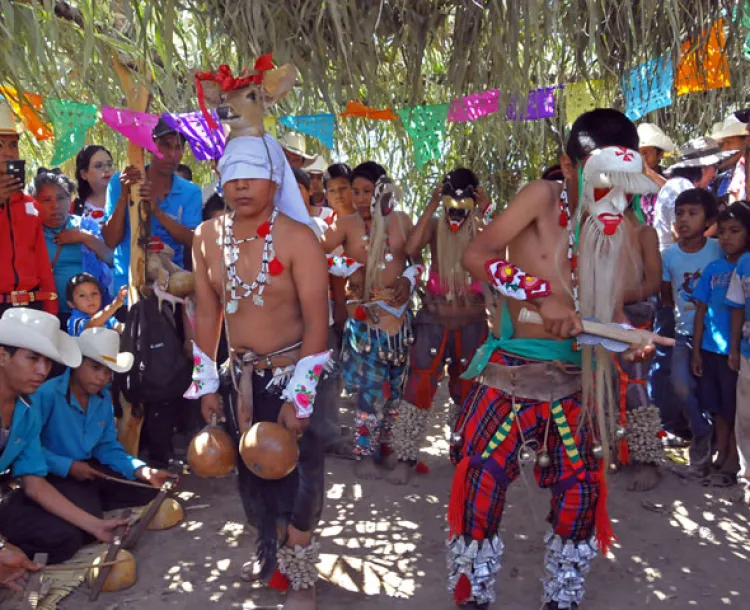 Yaquis  bailarán Danza del Venado en Brasil