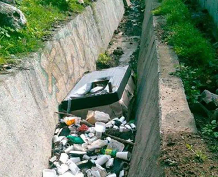 Arrojan basura a los arroyos  durante los aguaceros: Oldap