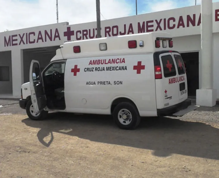 Muerde perro a menor en la cara, pierde parte del rostro