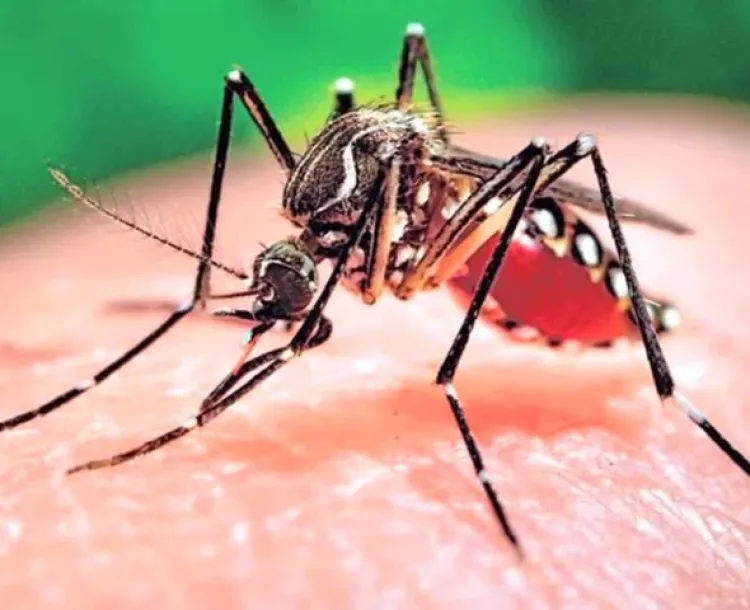 Registran caso de zika en Arizona