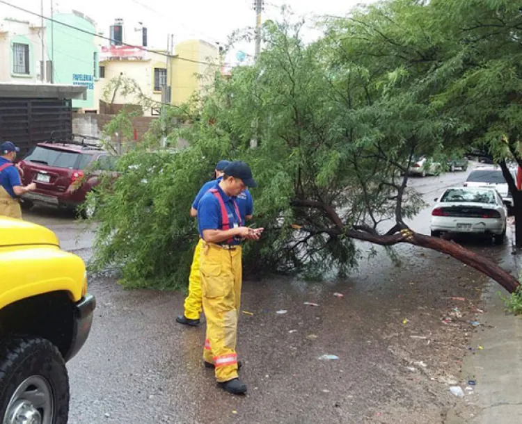 Tránsito, PC y Bomberos atienden emergencias durante las lluvias