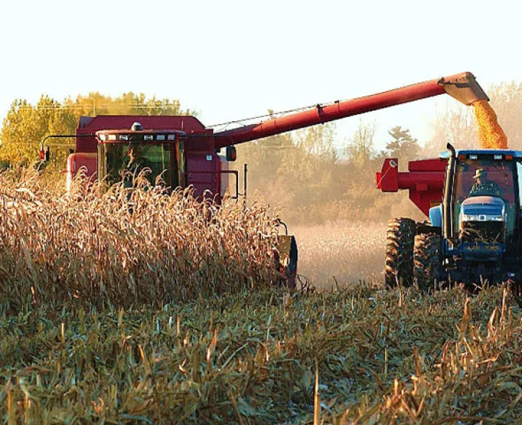 Sonora va por abasto de alimentos