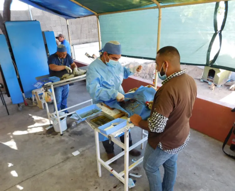 Esterilizan a más 40 perros  y gatos durante campaña