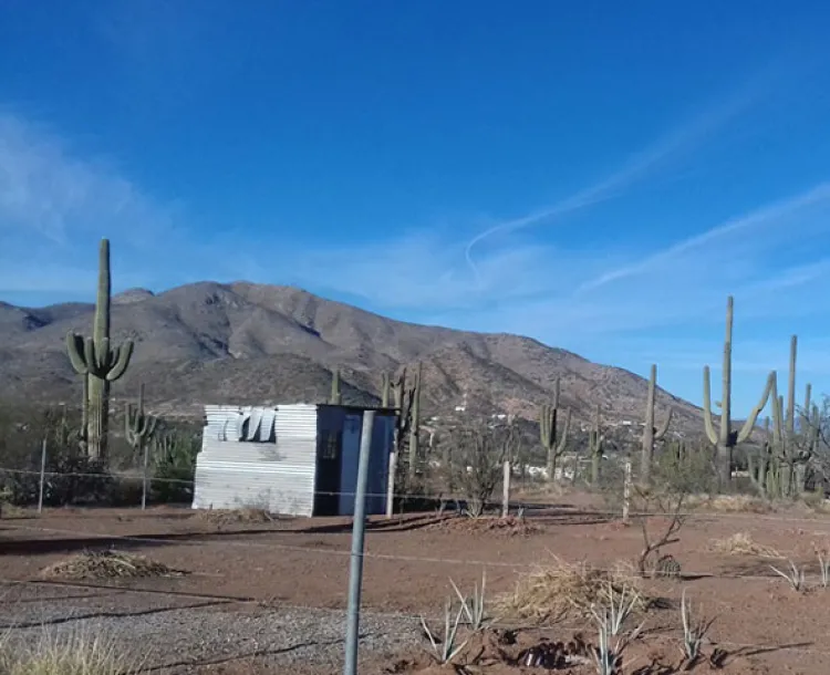 Continúa invasión en Los Sahuarales en Magdalena