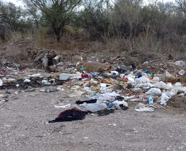 Continúa contaminación del Arroyo del Sásabe en Magdalena