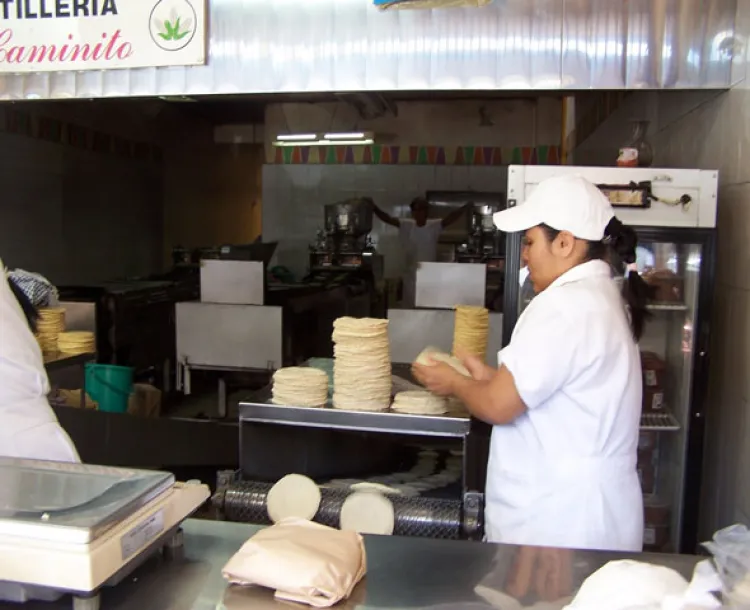 Verifica Profeco precio de la tortilla