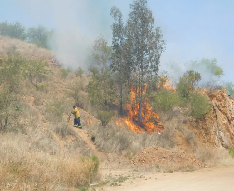 Controlan a tiempo bomberos incendio