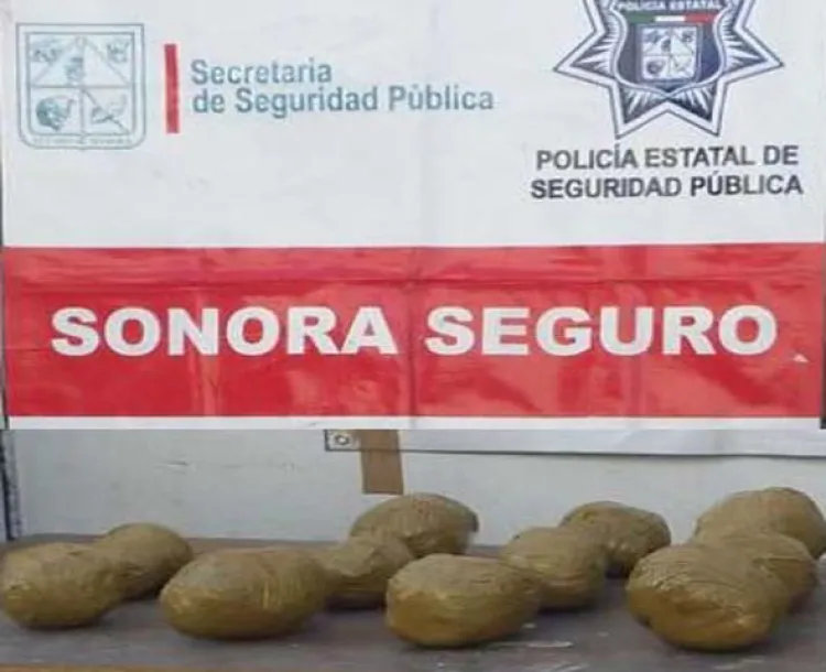 Aseguran PESP y Sedena marihuana en autobús de pasajeros