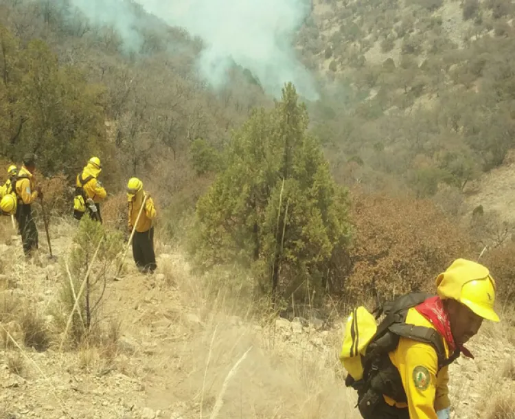 Combate Conafor cinco incendios