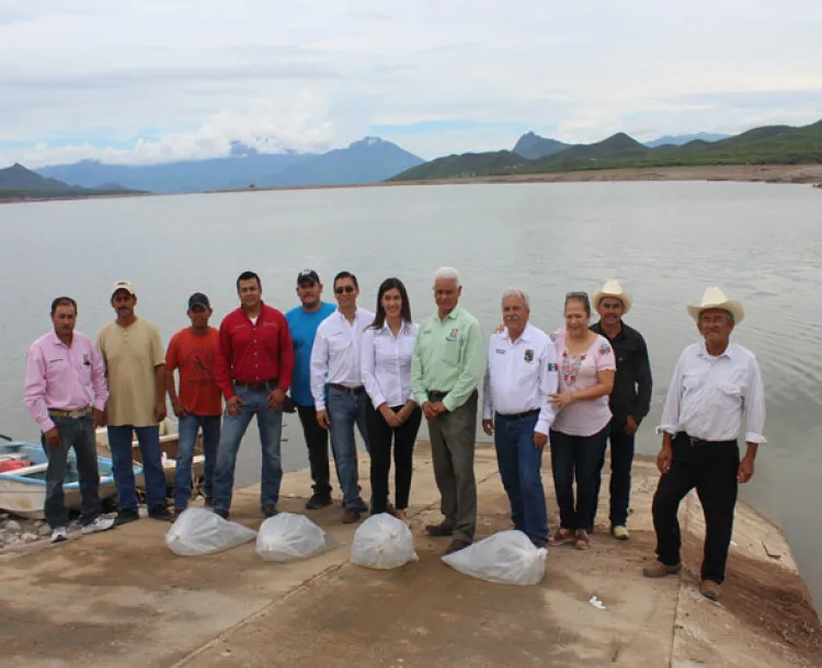 Siembra Sagarhpa alevines de tilapia en presa El Novillo