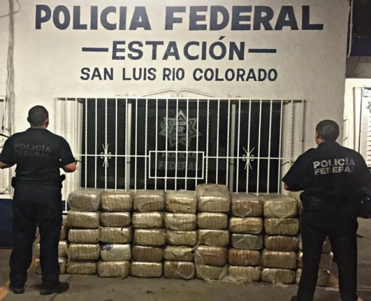 Aseguran 460 kilogramos de marihuana en SLRC