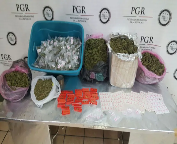 Asegura PGR cartuchos y marihuana en AP