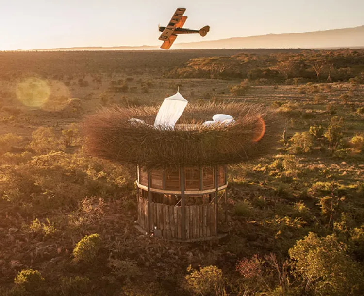Este hotel tiene la forma de un nido de pájaro