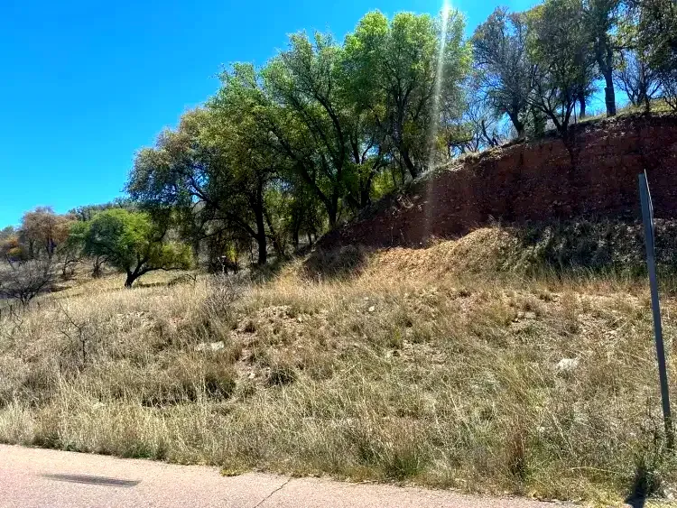 ¡Macabro hallazgo! Descubren restos óseos en El Bellotoso en Nogales