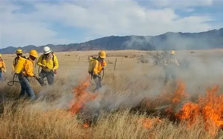 Combaten incendio forestal en tramo Hermosillo-Guaymas