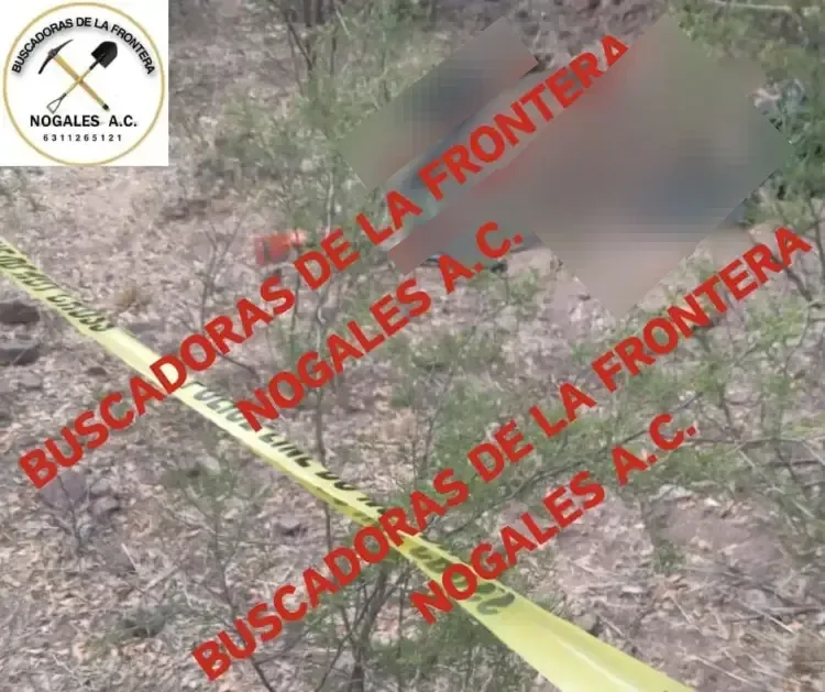 Localizan cuatro cuerpos más en zona de La Comaya en Nogales