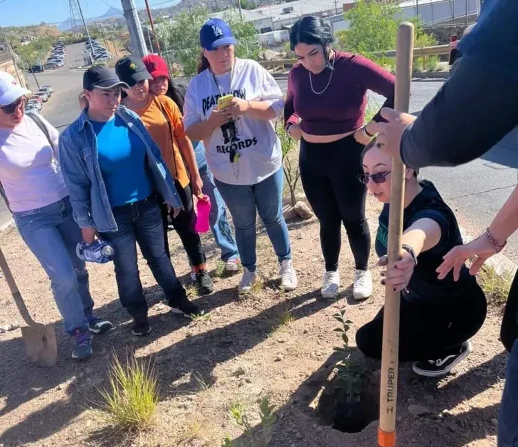 EcoBarrio concientiza sobre la arborización correcta en Nogales