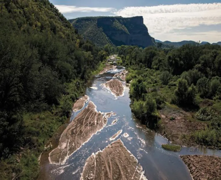 Detectan represos sin concesiones en Río Sonora