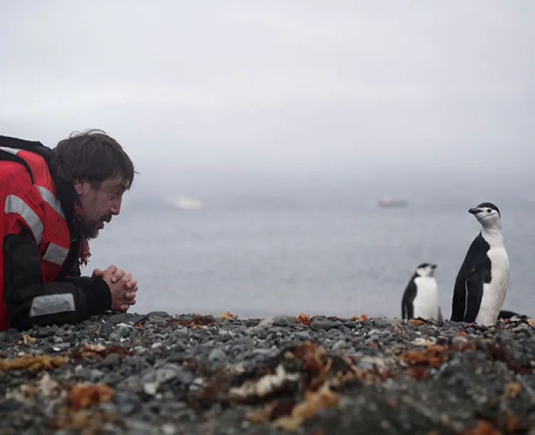 Javier Bardem pide proteger al oceáno desde la Antártida