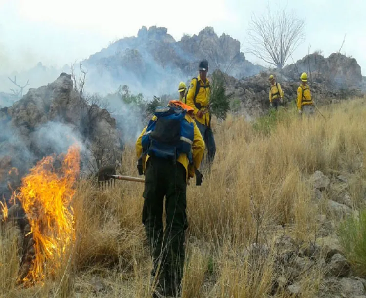 Adelanta temporada incendios forestales en Sonora: UEPC