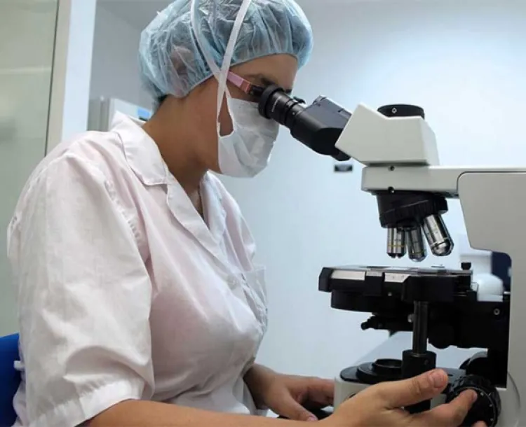 Mexicana diseña nano-molécula que mata bacterias y virus