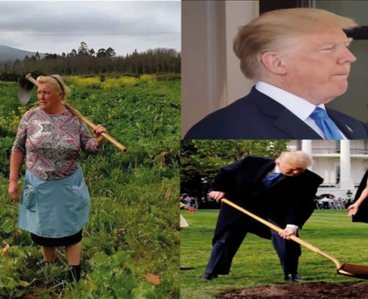 Trump y su hermana gallega ¿separados al nacer?