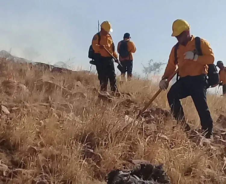 Controlan incendios forestales en Agua Prieta