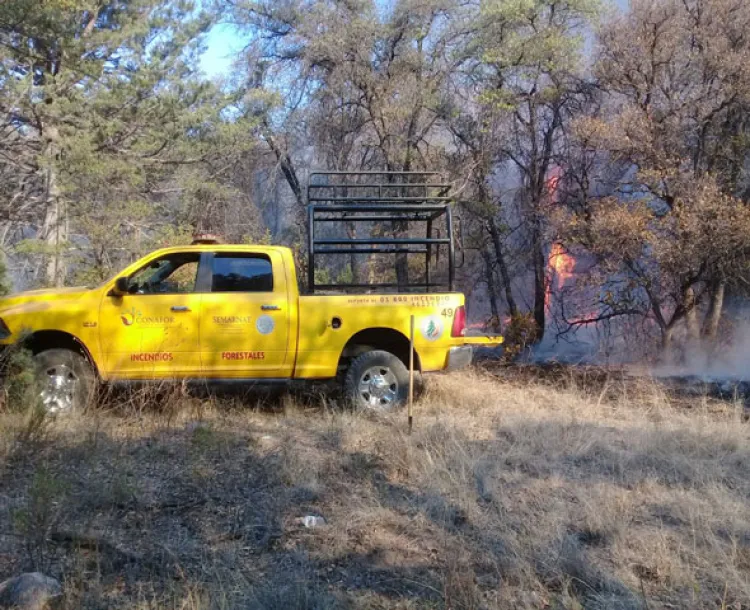 Aclara Conafor situación sobre incendio en zona de Aribabi