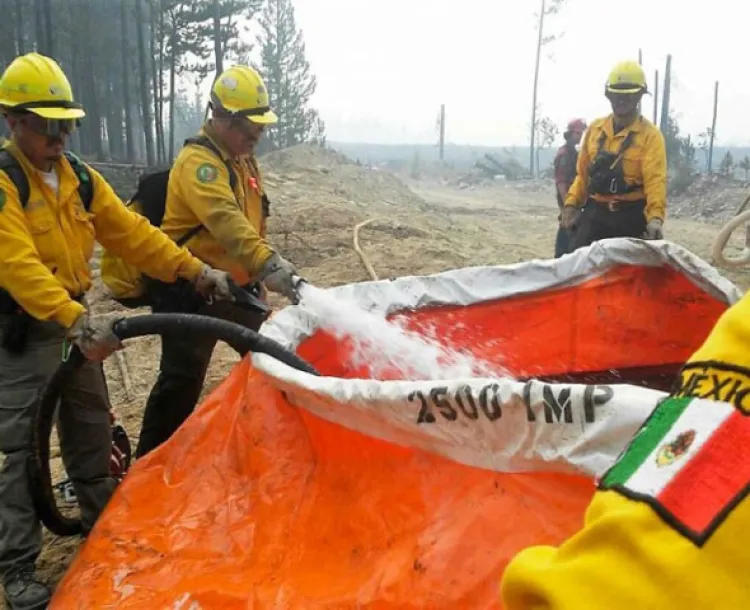 Brigadistas sonorenses viajan a Canadá