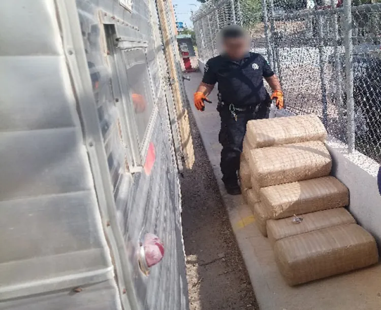 Conductor llevaba en casa rodante 350 kilos de marihuana