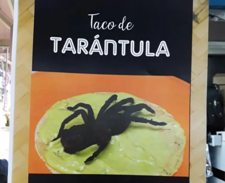 Aseguran tarántulas que eran vendidas en tacos en CDMX
