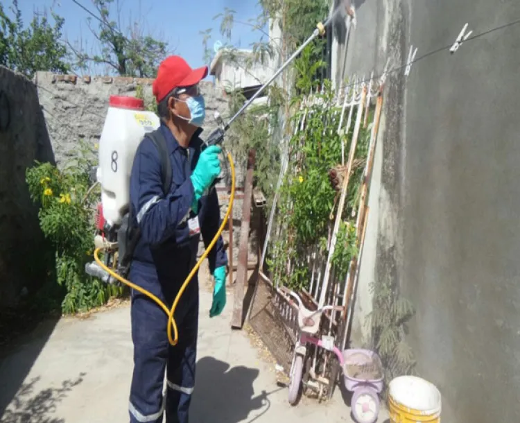 Refuerzan fumigación en municipios inundados