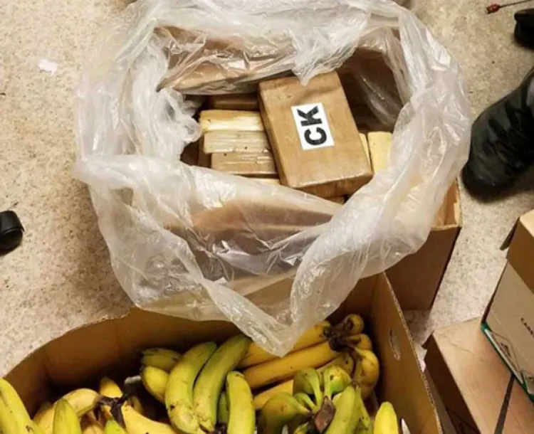 Descubren cocaína en cajas de plátanos