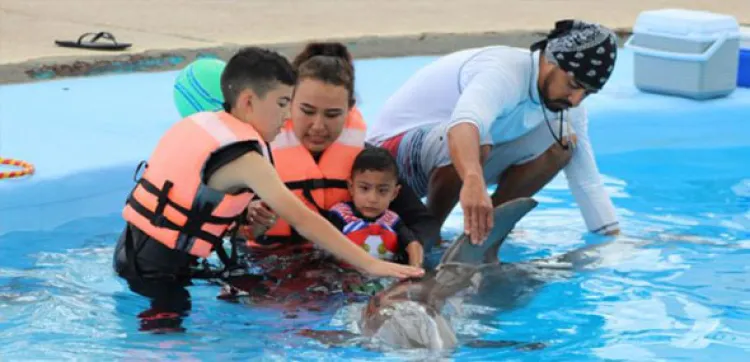 Aumentarán terapias en Delfinario Sonora