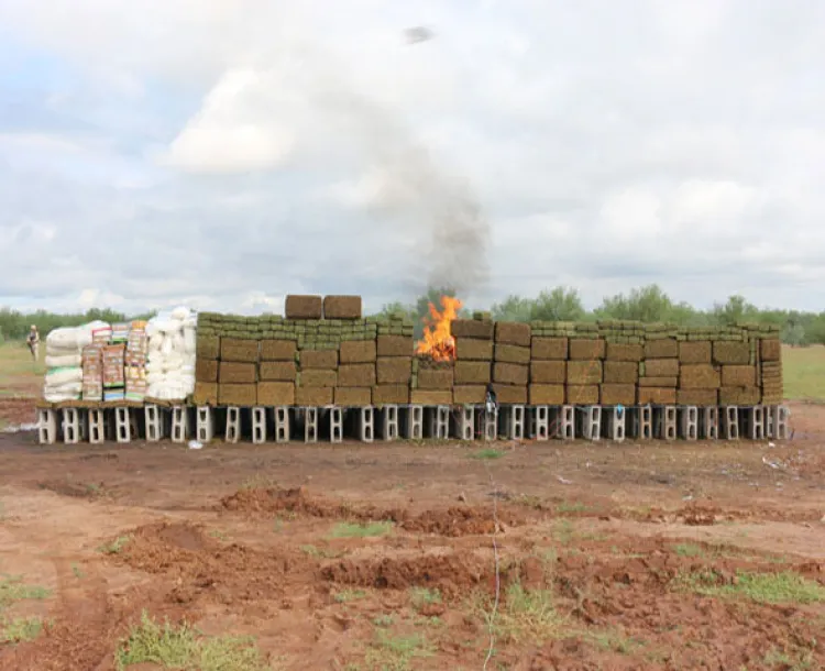 Incineran más de cinco toneladas de droga en Sonora