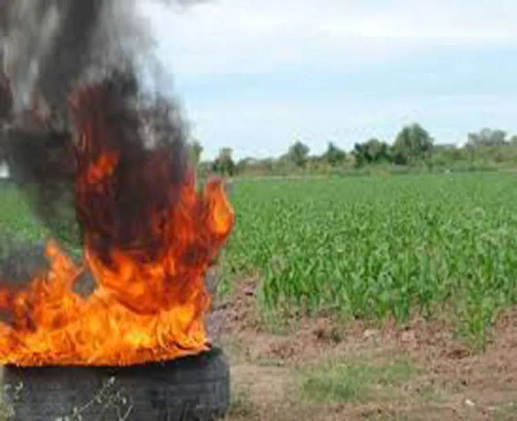 Acuerdan mejorar las prácticas de agricultura