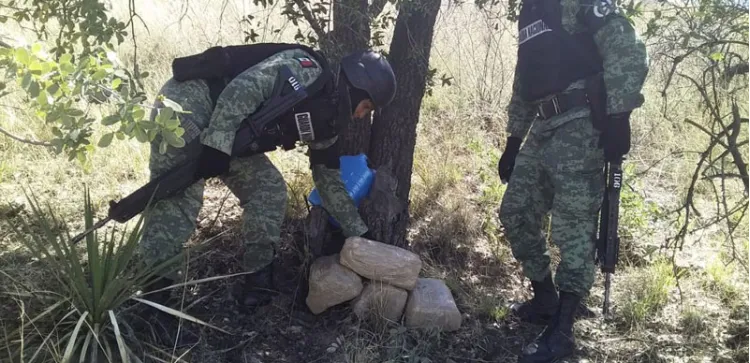 Aseguran droga frente a SP